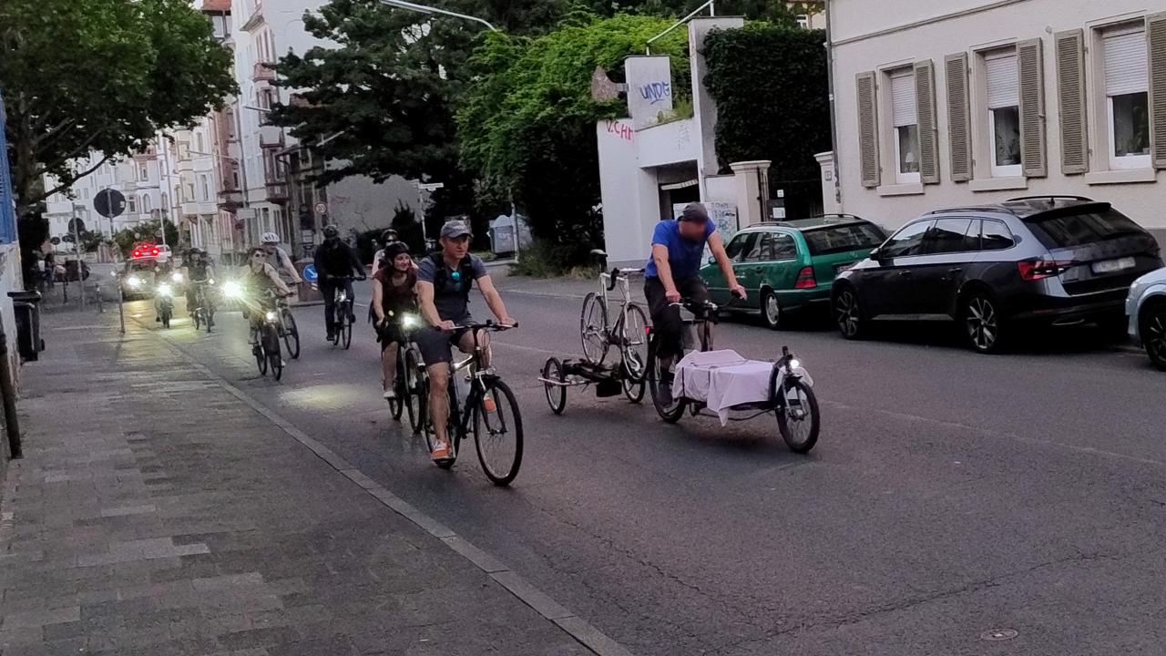 Fahrradtransportanhaenger auf der Critical Mass