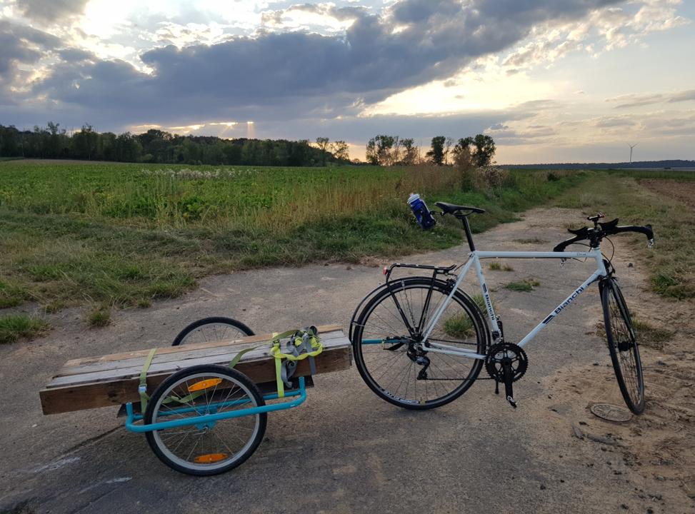 Holztransport mit Rennrad und Fahrradanhaenger
