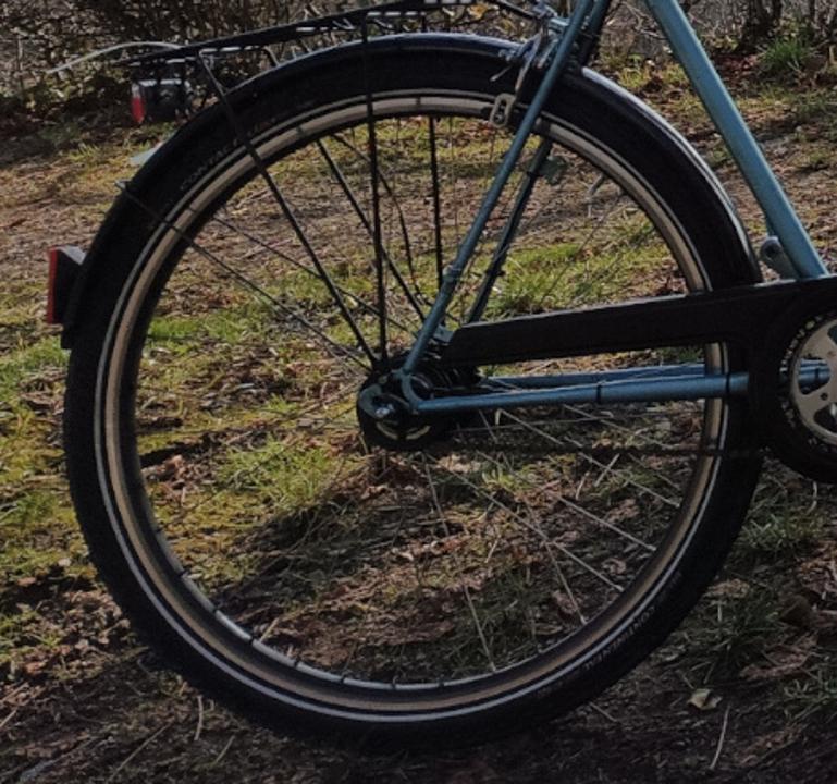 Samum rear hub detail image