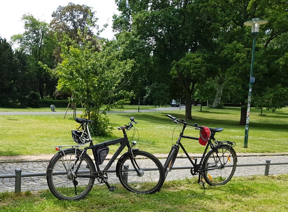 Groh mit Marcs Rad im Herrngarten