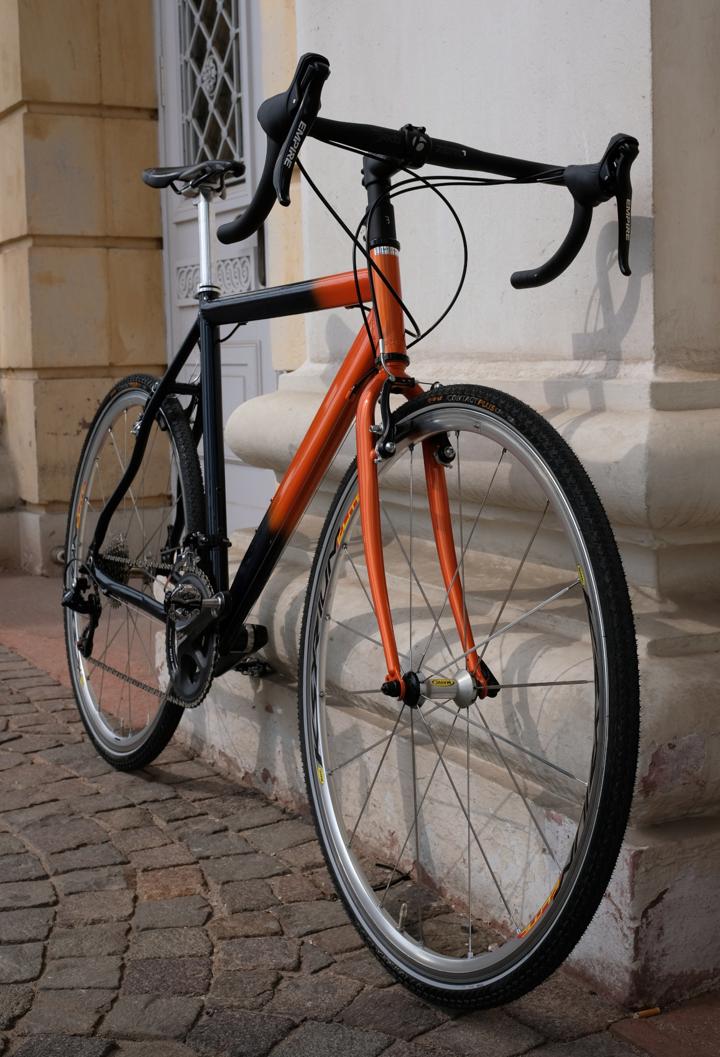 Alleycat Zwischenstand